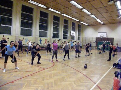 Swingowanie dla zwierząt